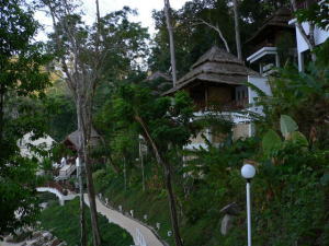 �V���@���E�X�p