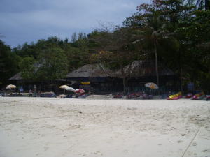 �R�[�����E�A�C�����h