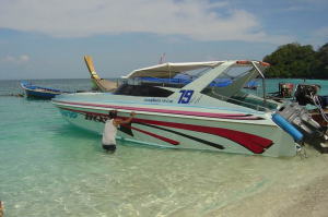 �R�[�����E�A�C�����h