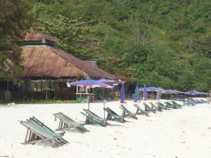 �R�[�����E�A�C�����h