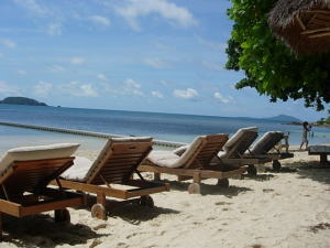 �G���@�\���E�v�[�P�b�g