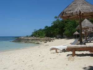 �G���@�\��