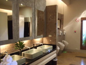 �`���G���E�X�p