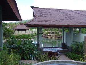 �`���G���E�X�p