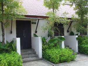 �`���G���E�X�p