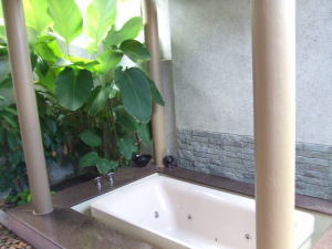 �`���G���E�X�p