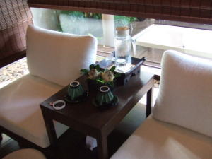 �`���G���E�X�p