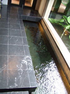 �`���G���E�X�p