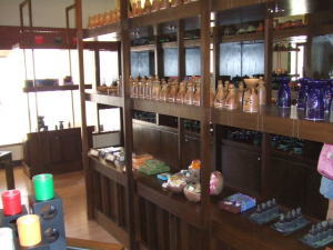 �`���G���E�X�p