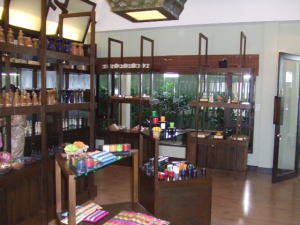 �`���G���E�X�p