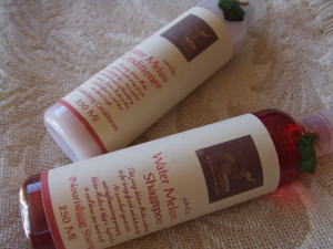 �`���G���E�X�p