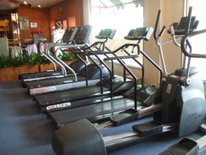 �t�B�b�g�l�X