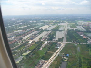 �o���R�N��芷��