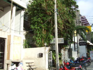 �X�����E�X�g���[�g