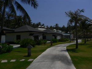 �U�E���`��