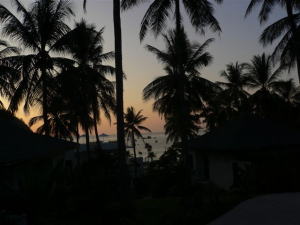 �U�E���`��