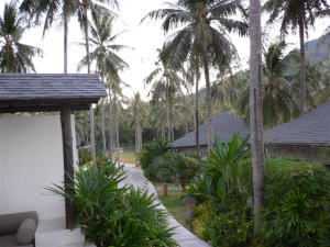 �U�E���`��