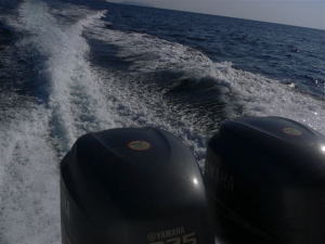 �U�E���`��