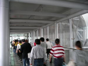 �o���R�N��芷��