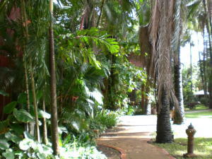 ロイヤル・ファワディ・ビレッジ