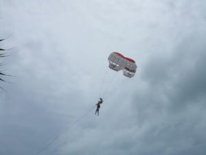 �p�g���r�[�`