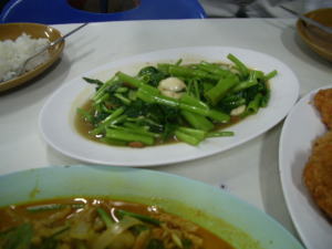 ティーさんのサンカシー