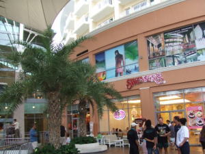 ジャンシーロン