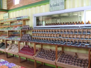 �V�����������O���X�E�n�E�X