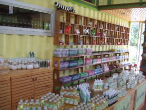 �V�����������O���X�E�n�E�X