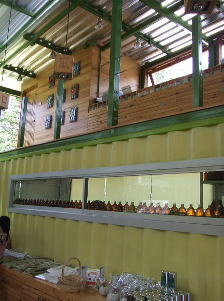 �V�����������O���X�E�n�E�X