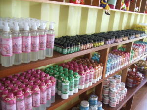 �V�����������O���X�E�n�E�X