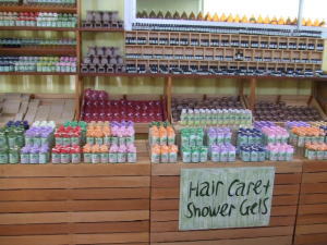 �V�����������O���X�E�n�E�X