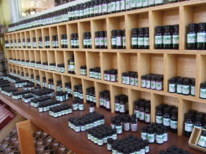 �V�����������O���X�E�n�E�X