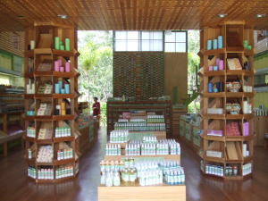 �V�����������O���X�E�n�E�X