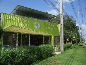 �V�����������O���X�E�n�E�X