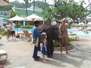 �v�[���T�C�h