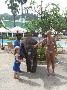 �v�[���T�C�h