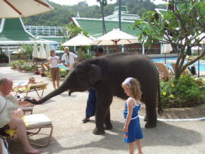 �v�[���T�C�h