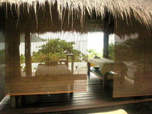 �V�b�N�X�E�Z���X�E�X�p