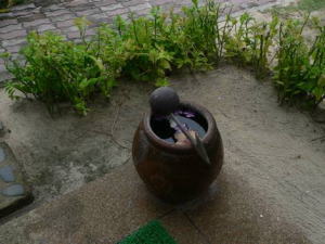 コーラルアイランド・リゾート