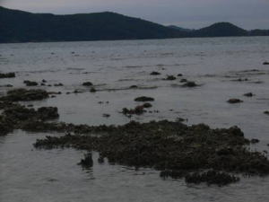 コーラルアイランド・リゾート