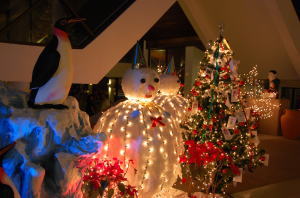 �z�e���E�t�����g