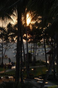 �v�[���T�C�h