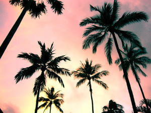 �v�[���T�C�h