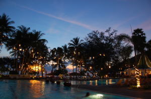 �����f�B�A���̖�i