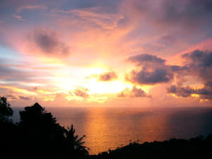 ヴュー・ポイント