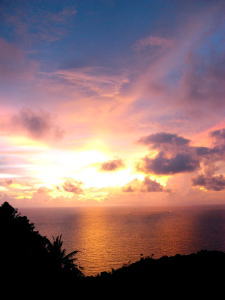 ヴュー・ポイント