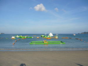 �p�g���E�x�C�K�[�f��