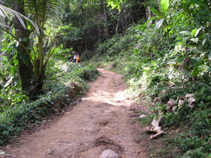 レムシン・ビーチ