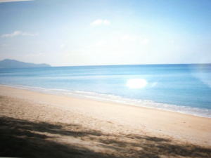 �T���E�v�[�P�b�g�E���]�[�g